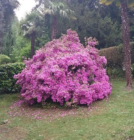 Piccolo Mondo Antico Apartament